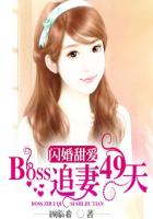 闪婚甜爱：BOSS追妻49天