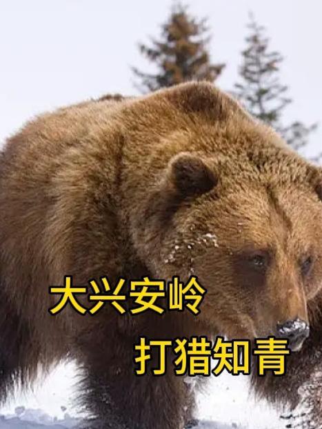 穿越后我靠种田发家致富32