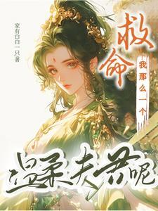 透视傻医 漠野风