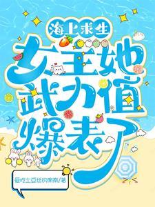 海贼里的超次元海贼团TXT
