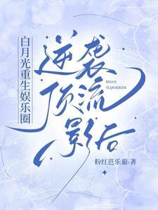 ti 模拟器