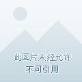 星空似血
